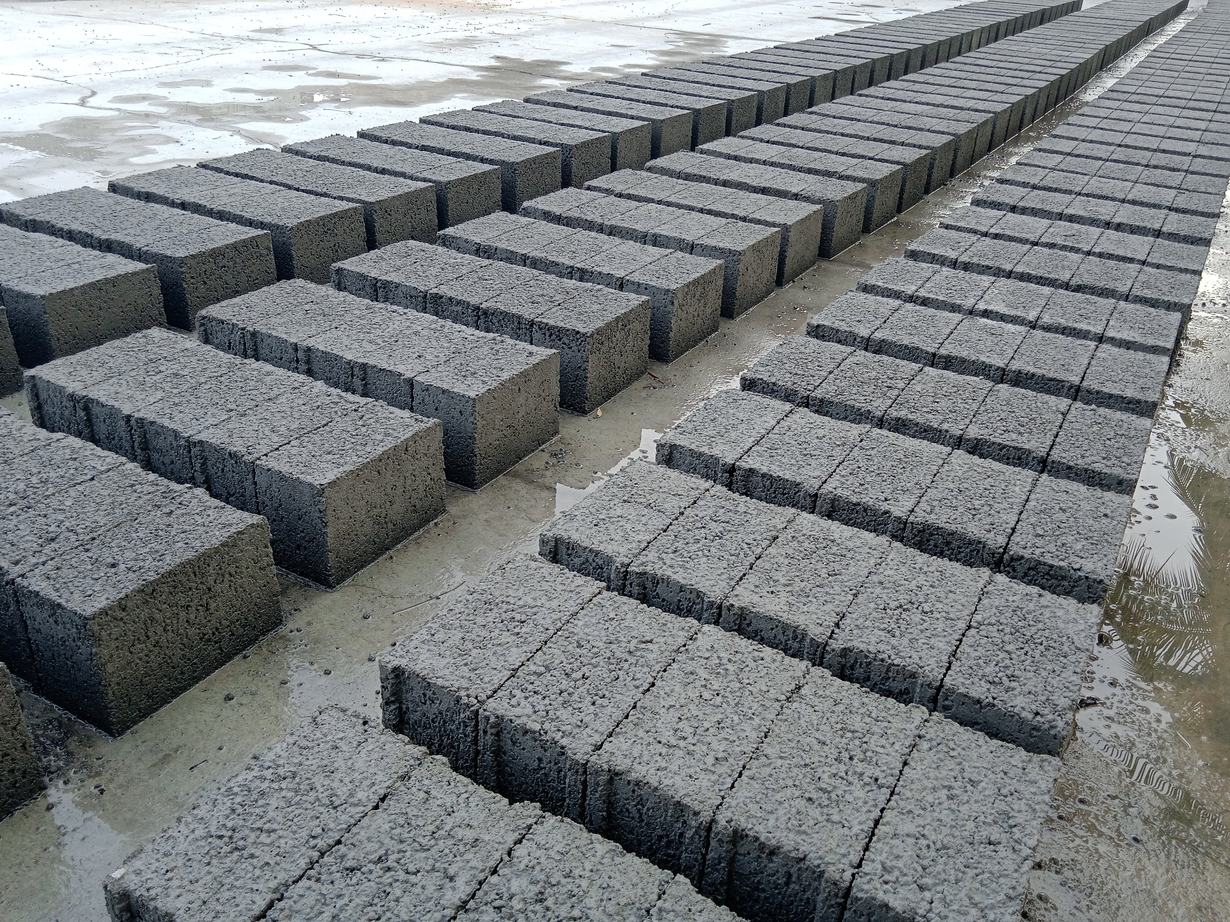 Cement Bricks